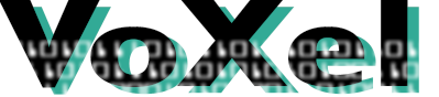 Voxel Interaction Design